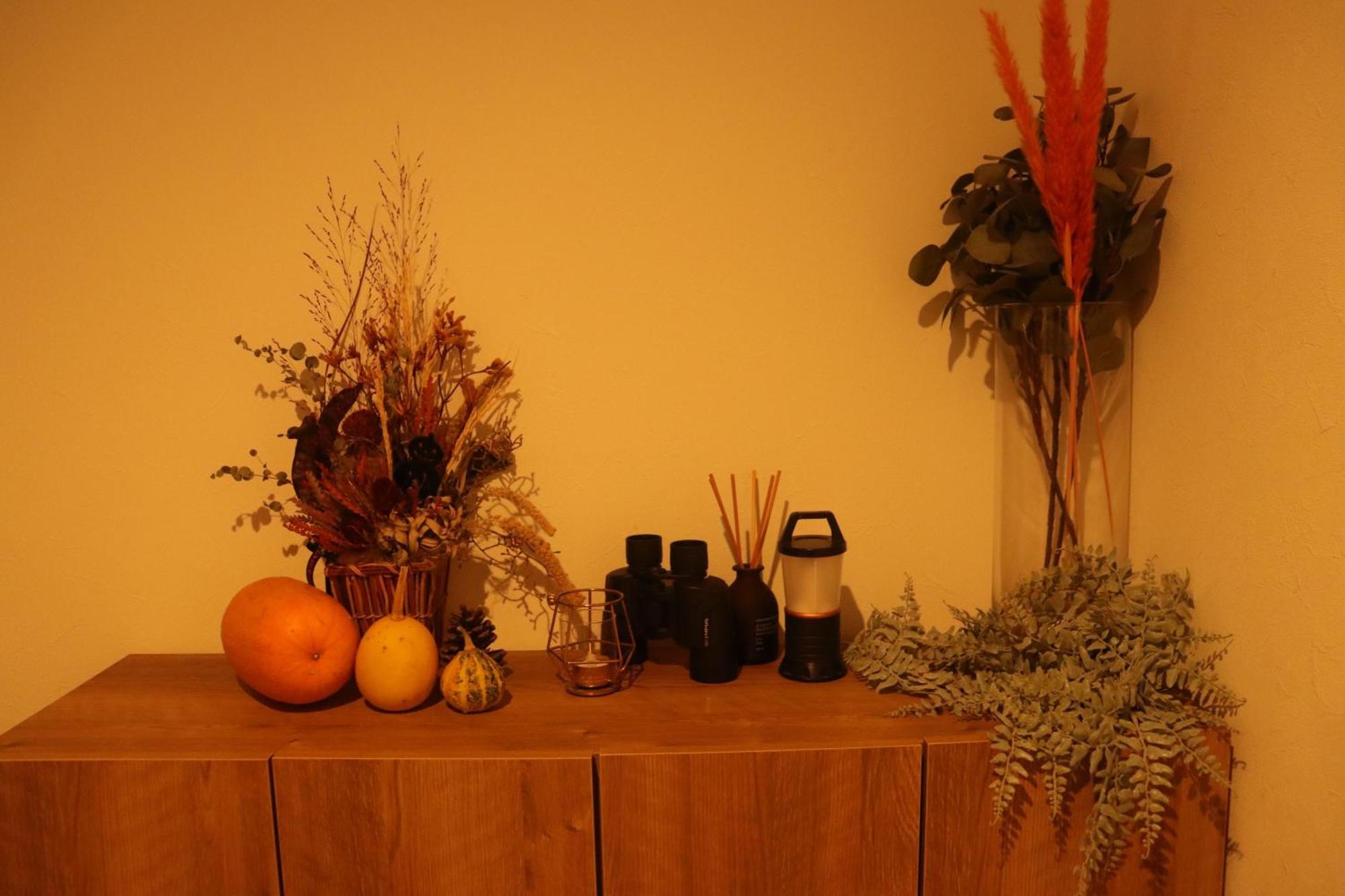 Sauna Forest Cabin 軽井沢 御代田　Mori-Asobi Oiwake Exterior foto