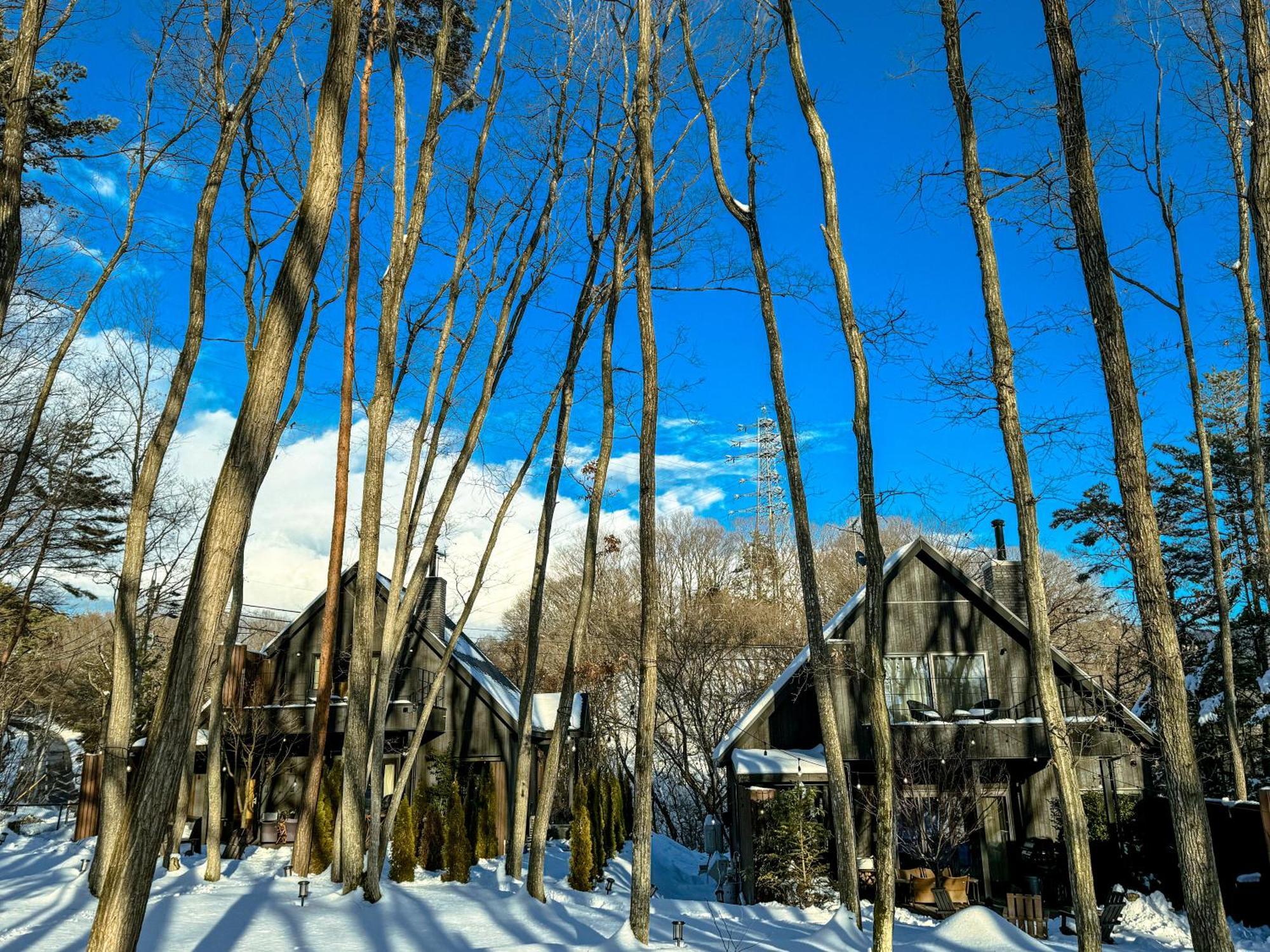 Sauna Forest Cabin 軽井沢 御代田　Mori-Asobi Oiwake Exterior foto