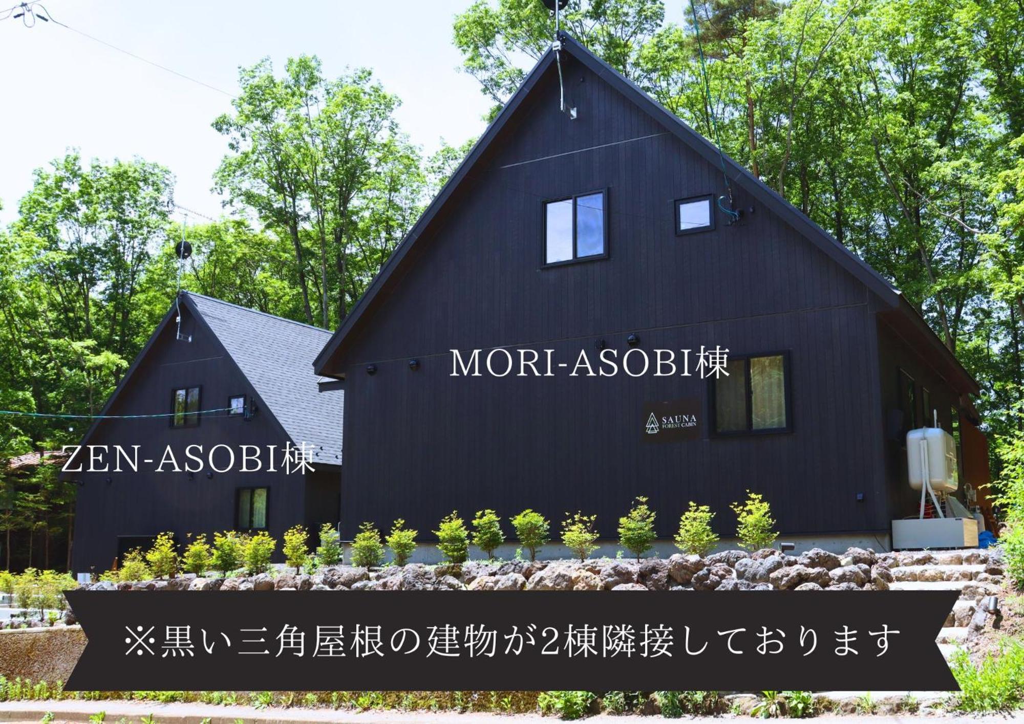 Sauna Forest Cabin 軽井沢 御代田　Mori-Asobi Oiwake Exterior foto