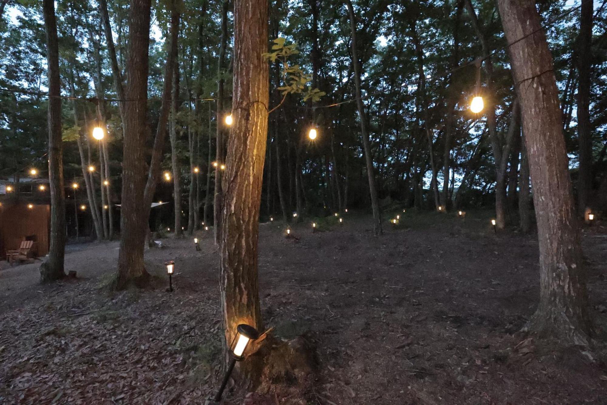 Sauna Forest Cabin 軽井沢 御代田　Mori-Asobi Oiwake Exterior foto